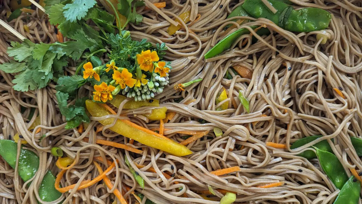 Catering spread of soba noodle salad